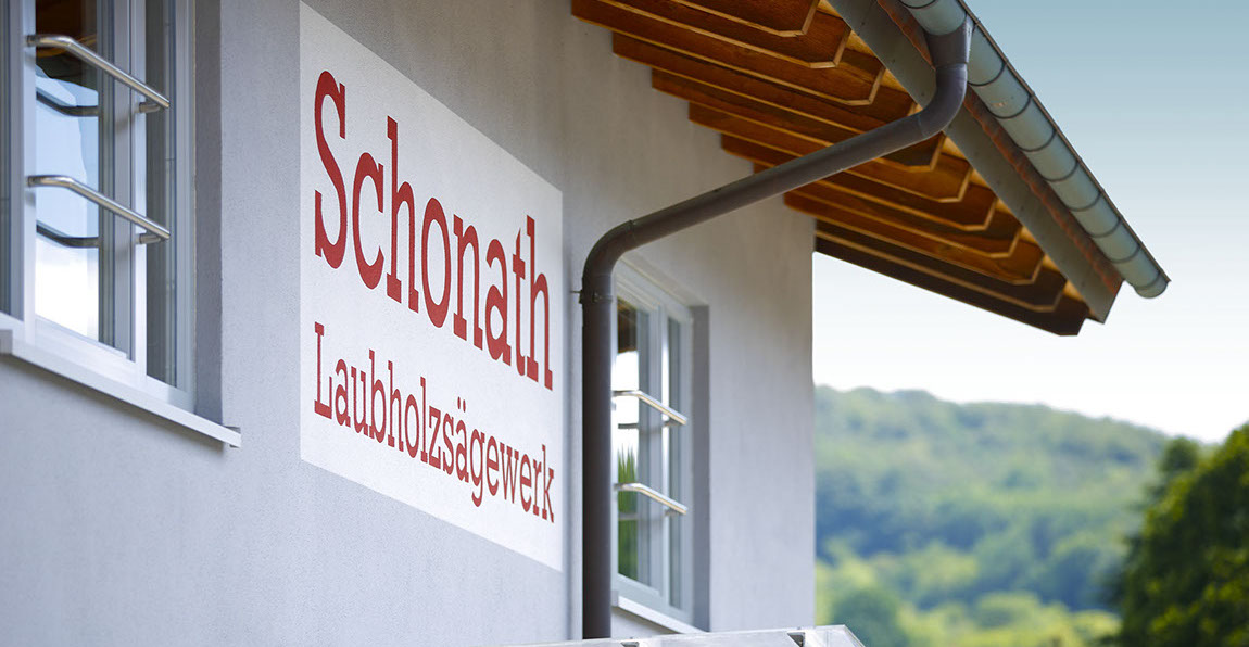 Buche, Eiche, Ahorn, Esche, Sägewerk, Laubholzsägewerk, Klimahalle, Vakuumkammer, Blockbandsäge