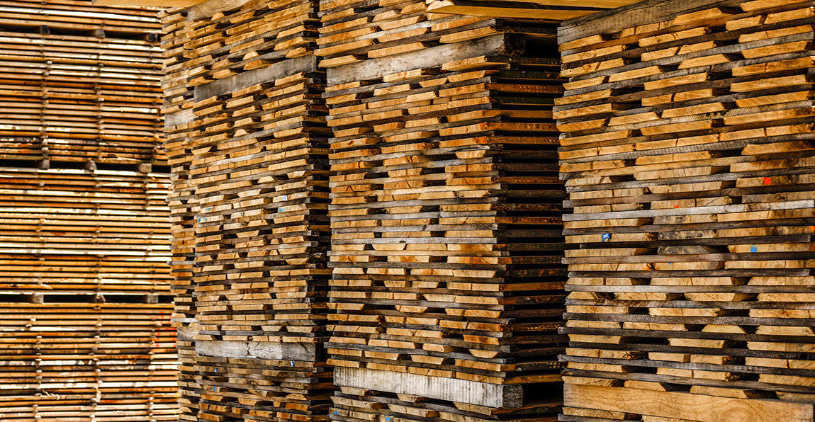 Buche, Eiche, Ahorn, Esche, Sägewerk, Laubholzsägewerk, Klimahalle, Vakuumkammer, Blockbandsäge