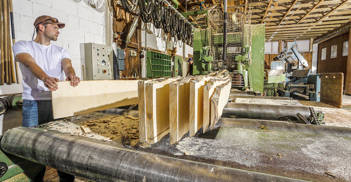 Buche, Eiche, Ahorn, Esche, Sägewerk, Laubholzsägewerk, Klimahalle, Vakuumkammer, Blockbandsäge